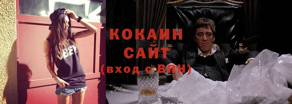 гидра Верхний Тагил