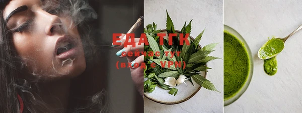 ГАЛЛЮЦИНОГЕННЫЕ ГРИБЫ Бородино