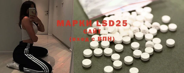 ГАЛЛЮЦИНОГЕННЫЕ ГРИБЫ Карпинск