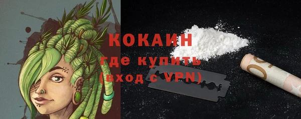 ГАЛЛЮЦИНОГЕННЫЕ ГРИБЫ Бородино
