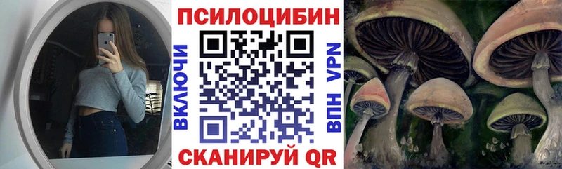 Псилоцибиновые грибы мухоморы  купить наркотики сайты  Новоржев 